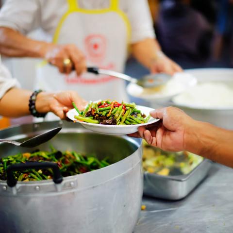 Dret a una alimentació saludable i sostenible